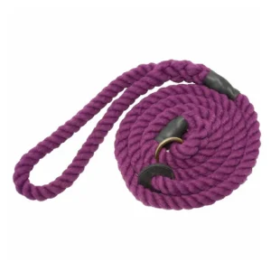 Bisley Elite Purple Dog Slip Lead
