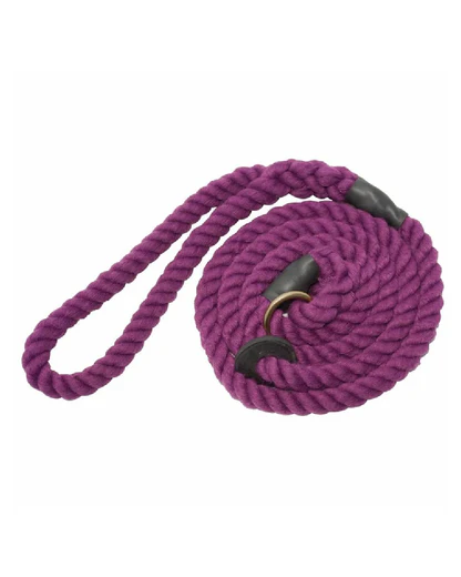 Bisley-Elite-Slip-Lead-Purple_01